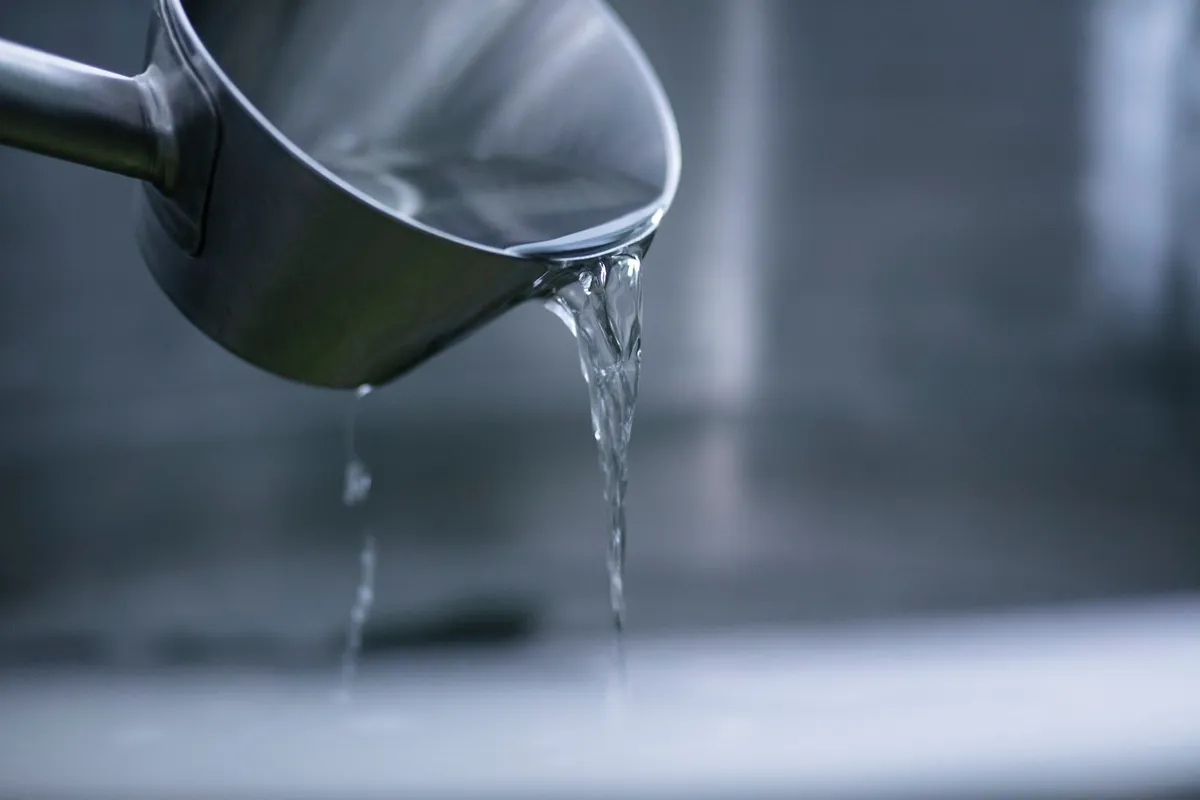 Clear water poured from a stainless ladle during sake brewing